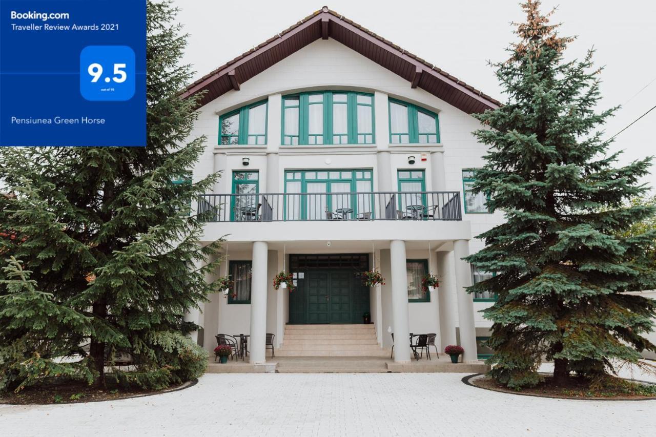 Green Villa Sibiu Dış mekan fotoğraf